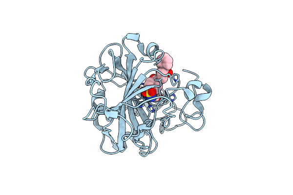 6H33 image