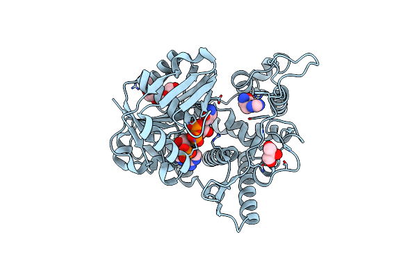 6H3D image