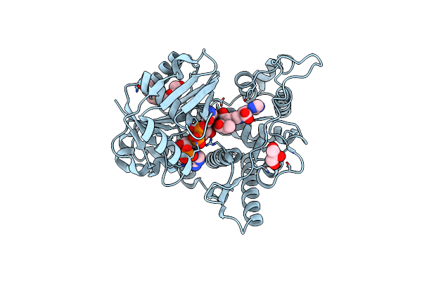 6H3F image
