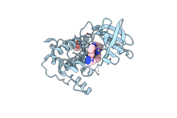 6H3K image