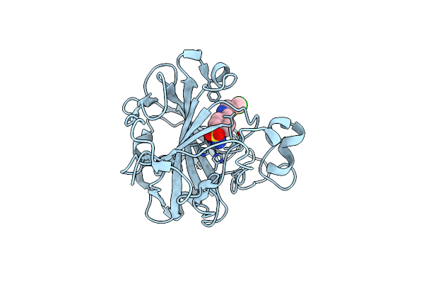 6H3Q image