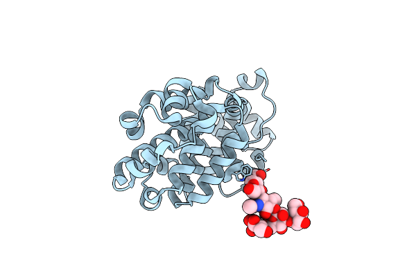6H3W image