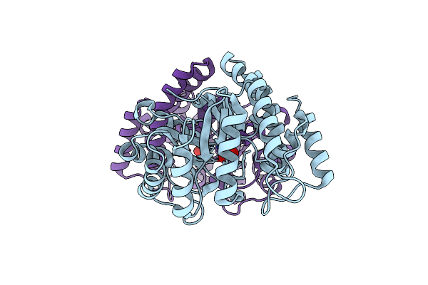 6H4E image