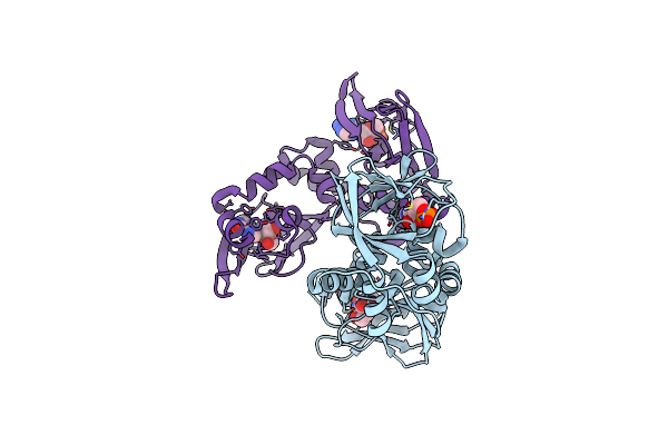 6H4G image