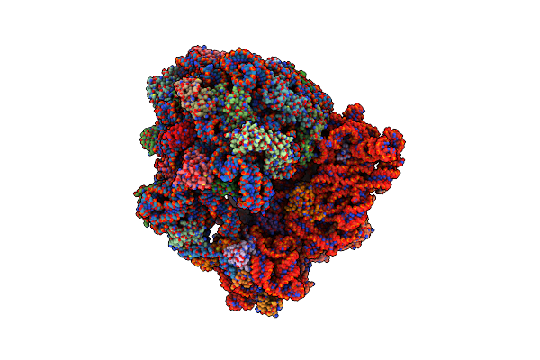 6H4N image