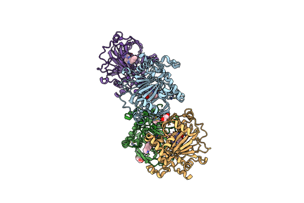 6H4R image