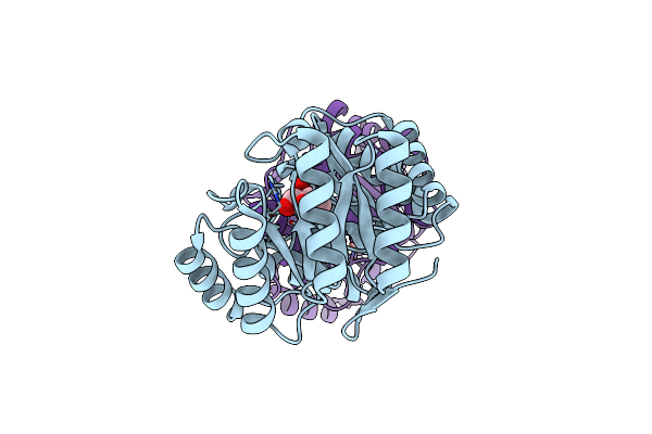 6H5D image