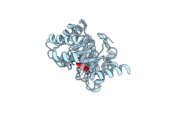 6H5G image