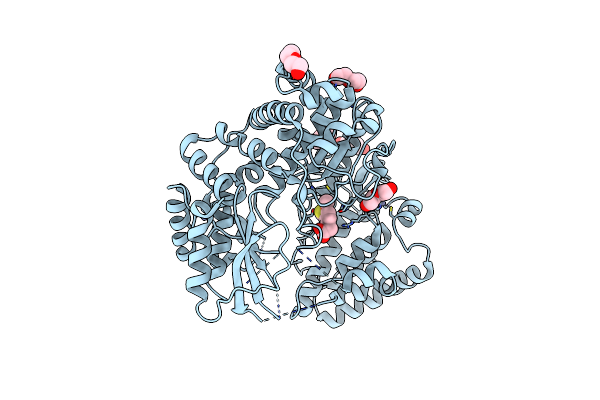 6H80 image