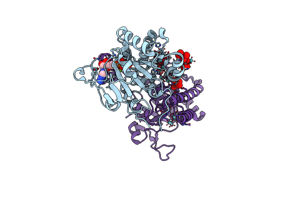 6H8B image