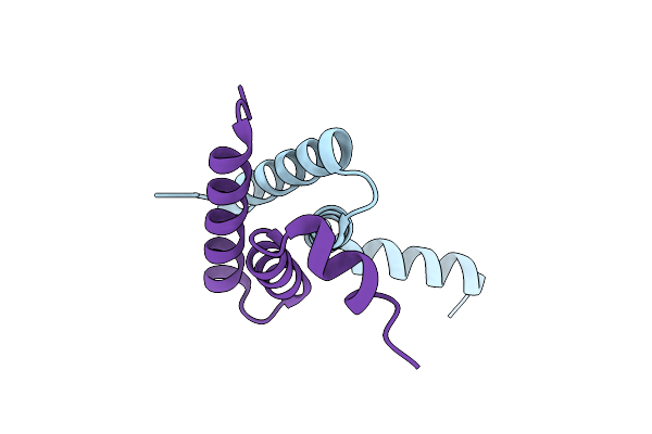 6H8E image
