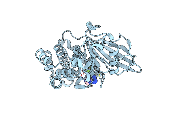 6H8S image
