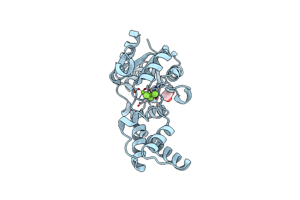 6H8Z image