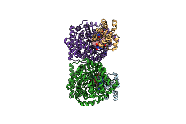 6H9F image