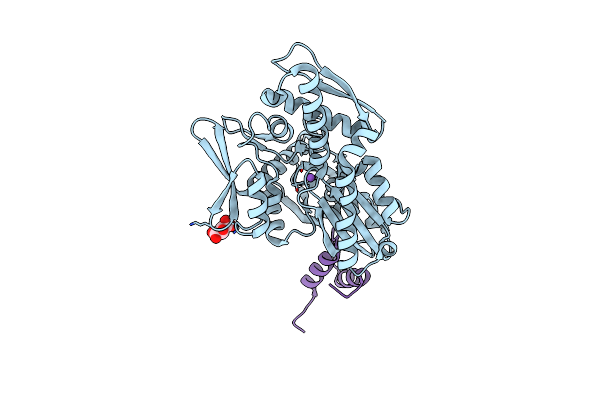 6H9U image