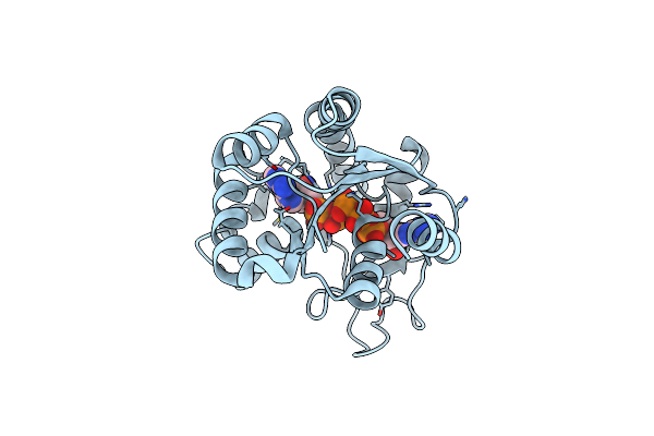 6HAP image