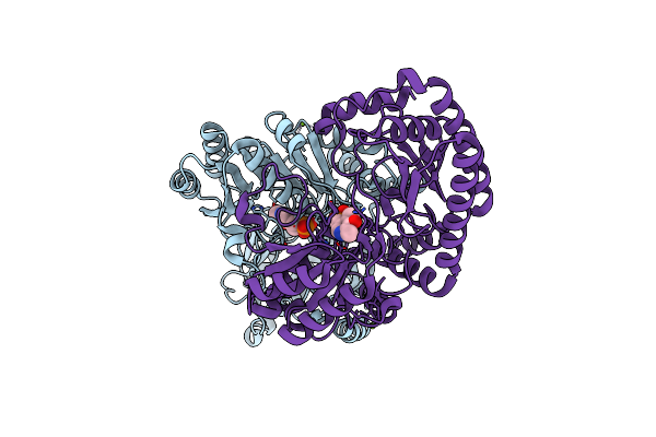 6HBS image