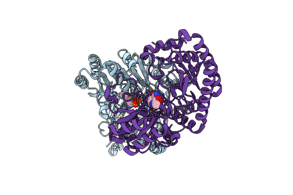 6HBV image