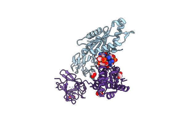 6HBZ image