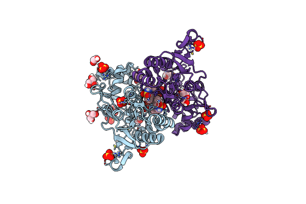 6HCA image