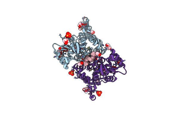6HCC image