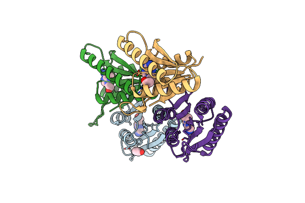 6HCD image