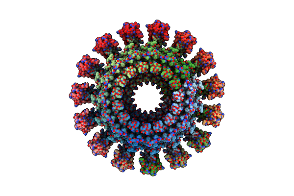 6HCG image
