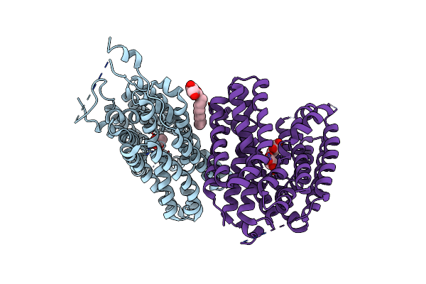 6HCL image