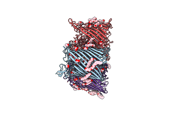 6HCP image