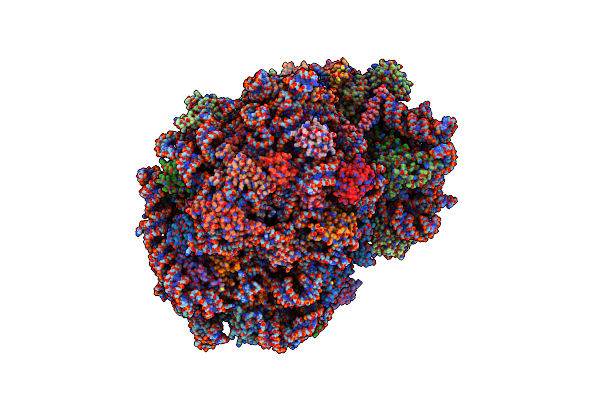 6HCQ image