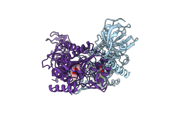 6HCV image