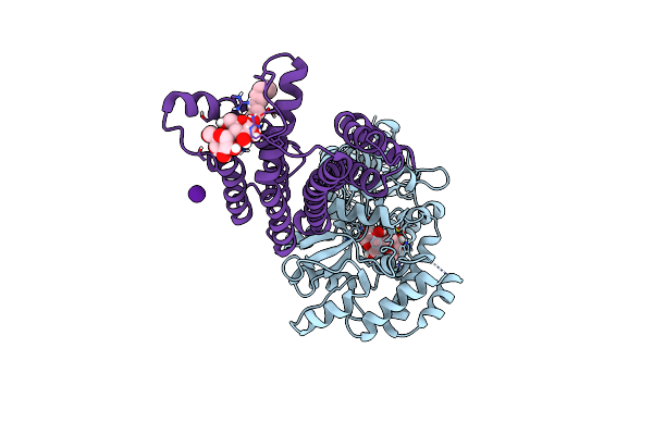 6HDA image