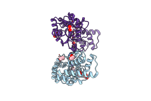 6HDF image