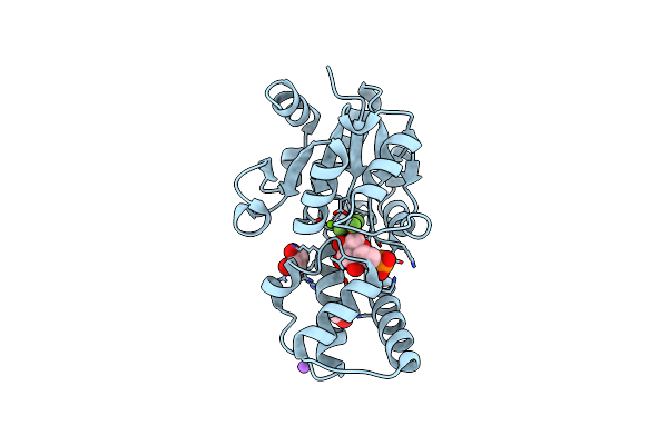 6HDL image