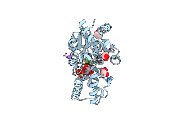 6HDM image