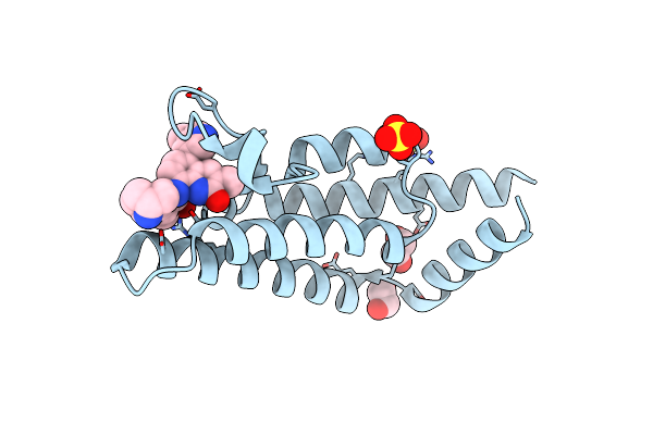 6HDO image