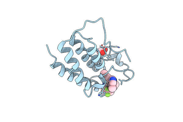 6HDQ image