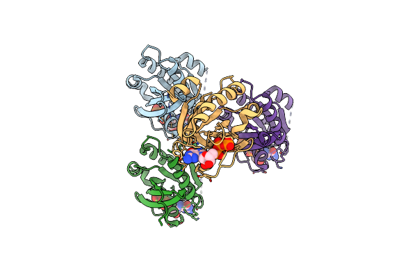 6HDU image