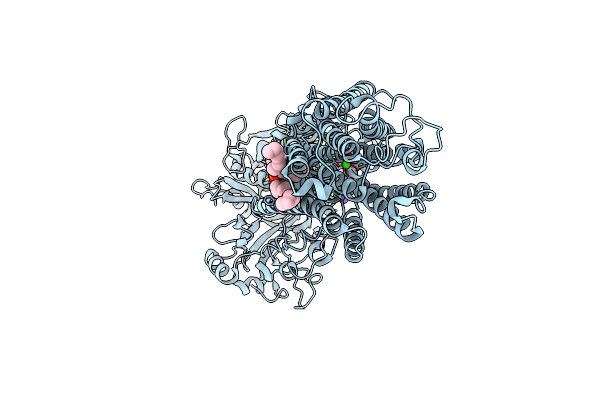 6HEF image