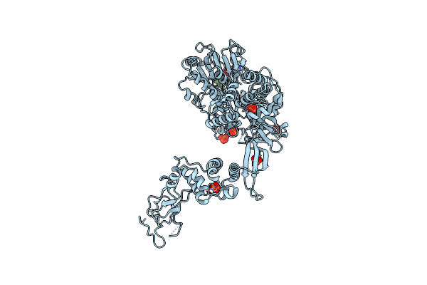 6HEG image