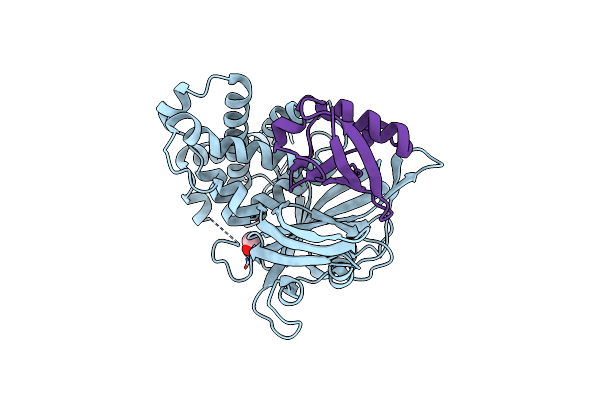 6HEI image