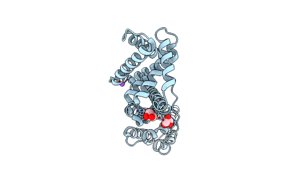 6HEM image