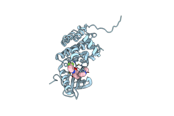 6HEV image