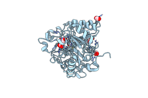 6HFL image