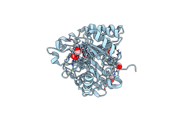 6HFP image