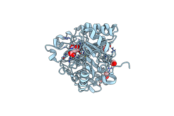 6HFR image