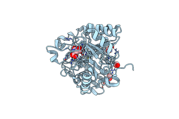 6HFS image
