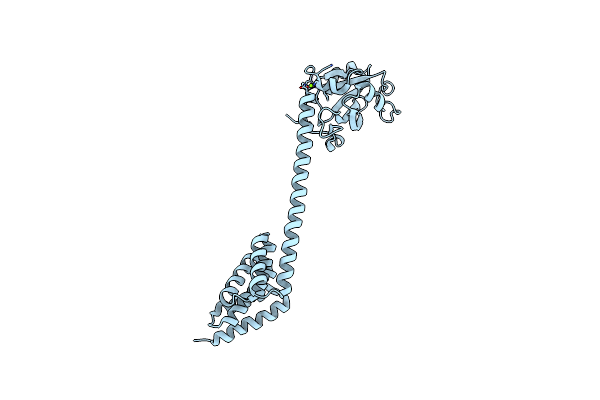6HFT image