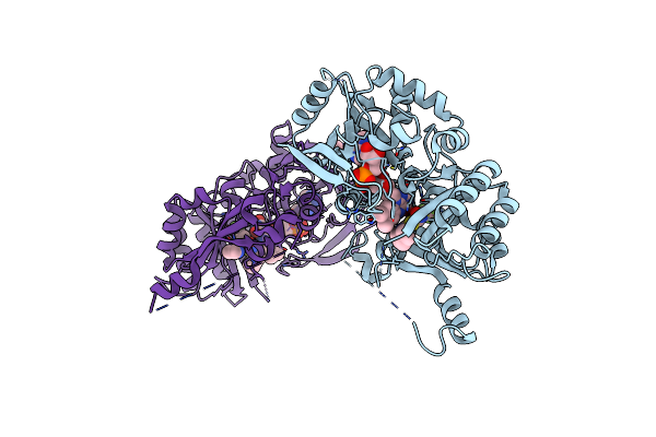 6HFV image