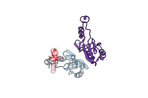 6HFX image